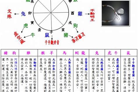 如何得知自己五行|五行屬性解惑秘笈，教你輕鬆辨別你的命理本色